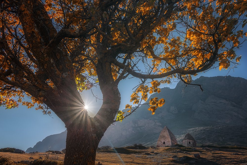 Оберегающие вечность