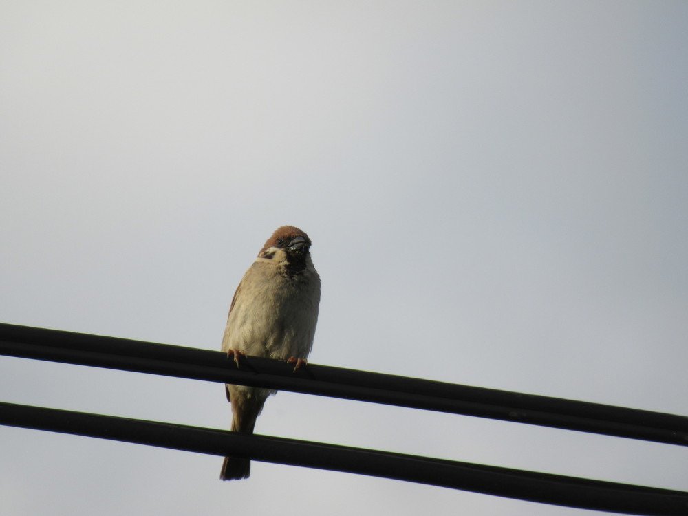 Photograph by Nermina Selmanovic