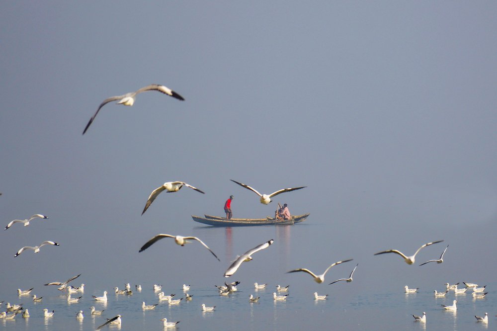 Photograph by Sofia Zaman