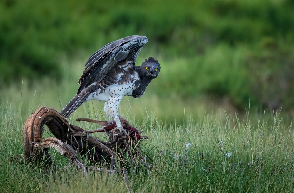 Фотография автора Ravikumar Kannaiyan