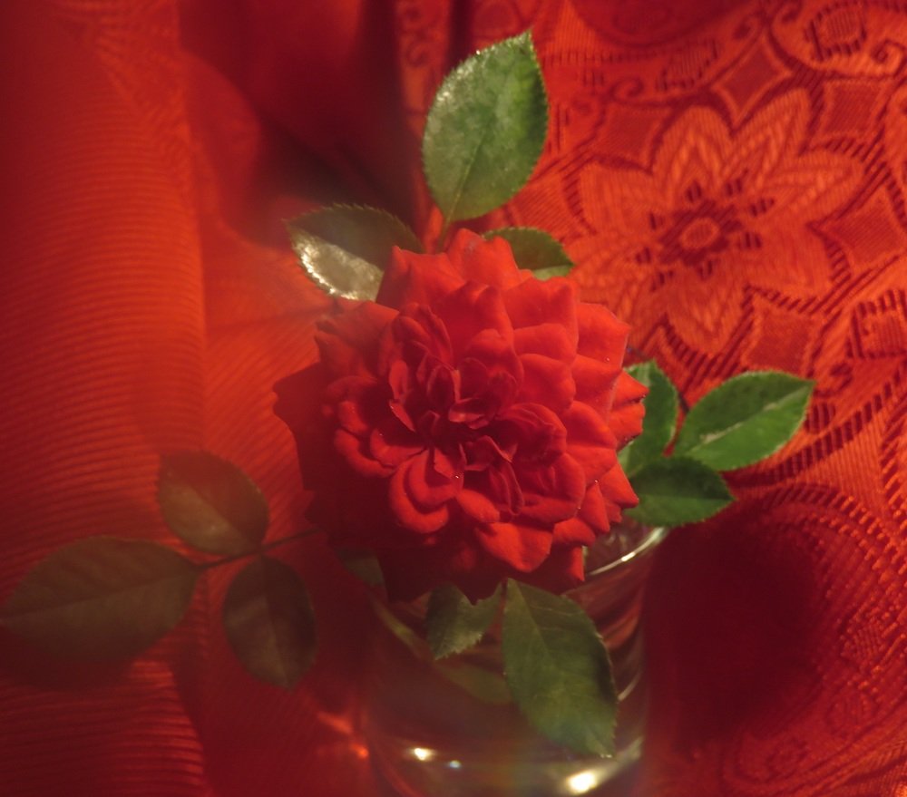 Фотография автора Елена Соловьева