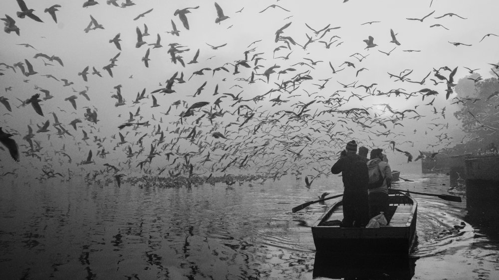 Фотография автора Madhuram Mittal