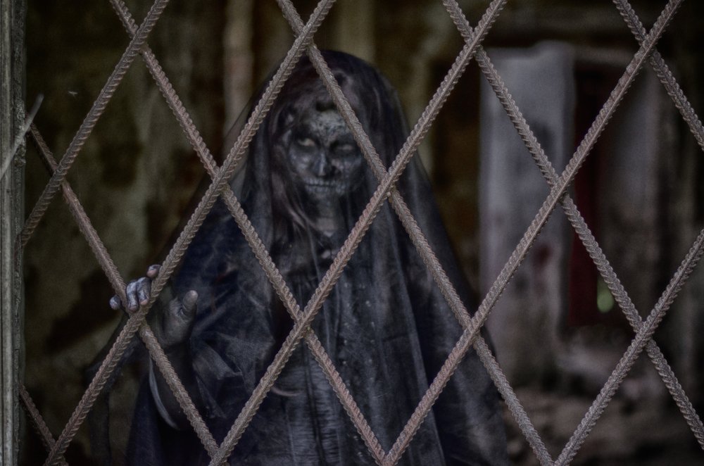 Photograph by Михаил Серебренников