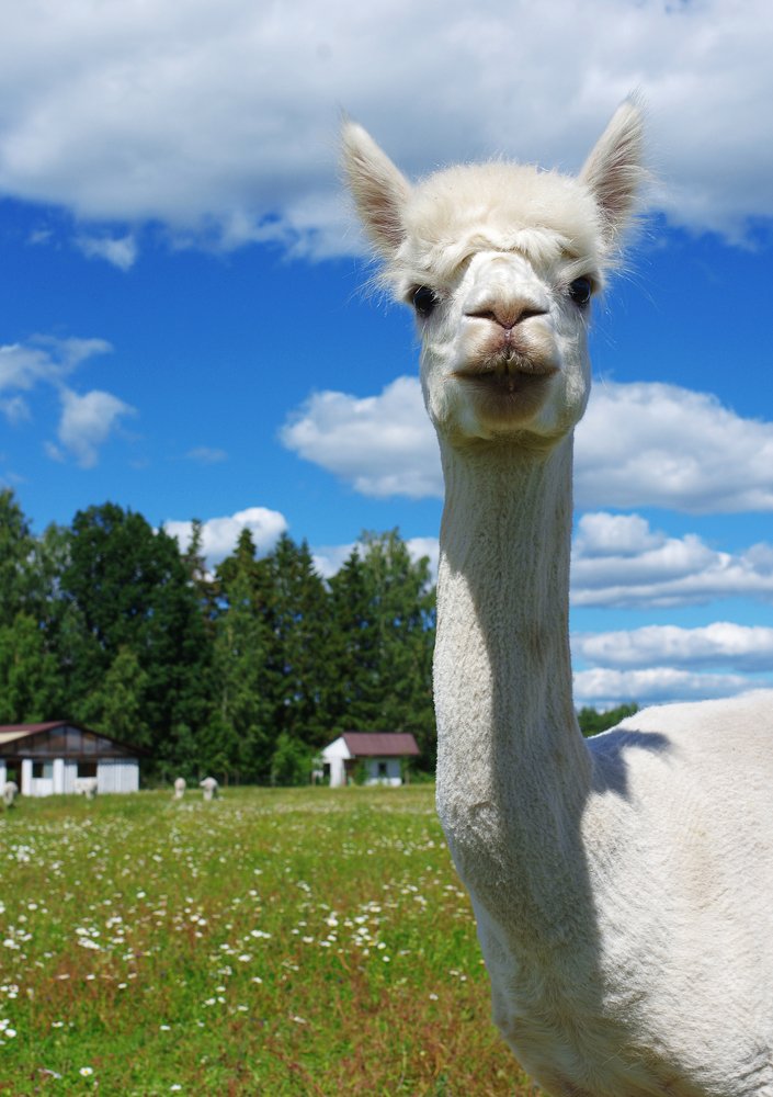 Photograph by Nadezda Sarap