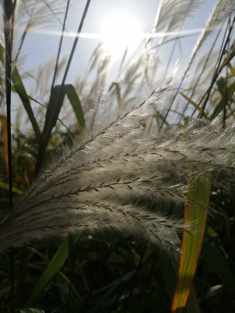 Photograph by Наталия Кудрявцева