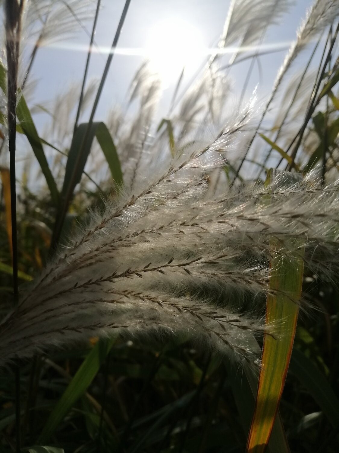 Photo #5021006