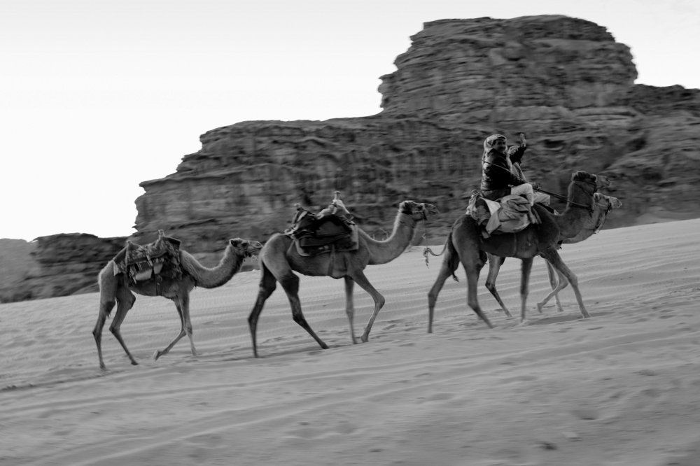 Photograph by Екатерина Мстиславская