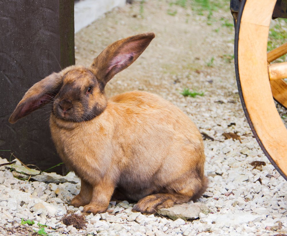 Photograph by Nadezda Sarap