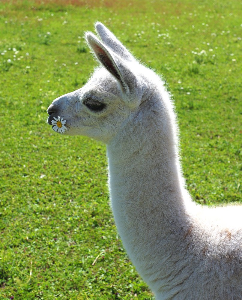 Photograph by Nadezda Sarap