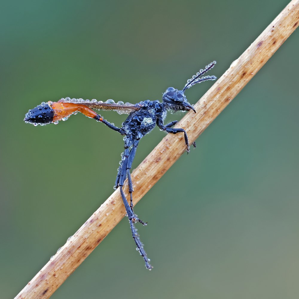 Photograph by Чепленко Алексей