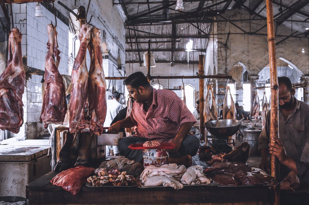 Photograph by Hadeer