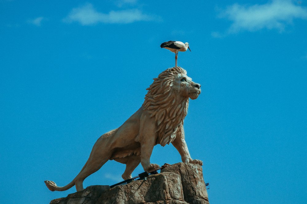 Фотография автора Алексей Гнедчик