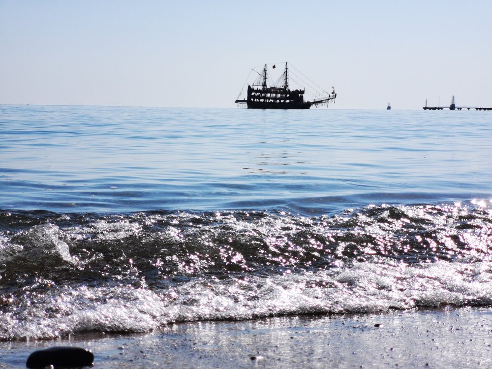 Фотография автора Алексей Гнедчик