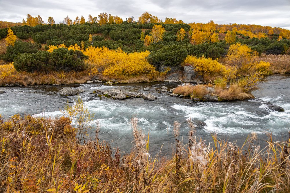 Осень. Камчатка.