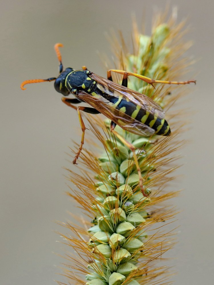 Photograph by Игорь Осипов