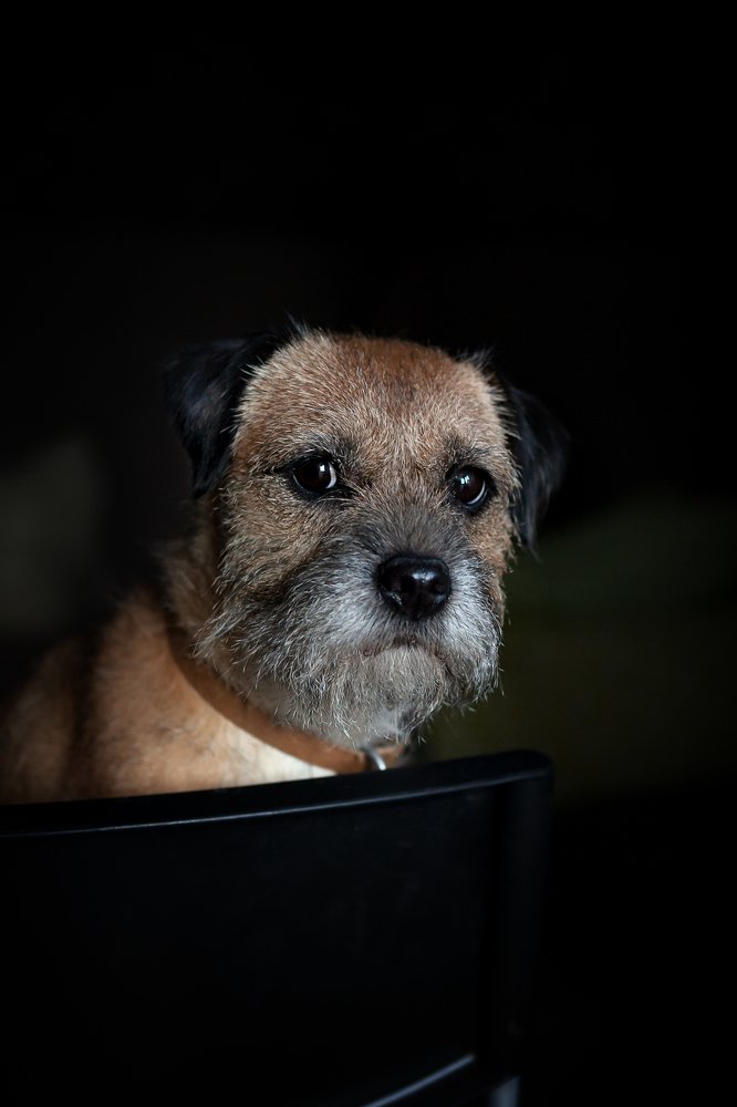 Photograph by Евгения Суслова