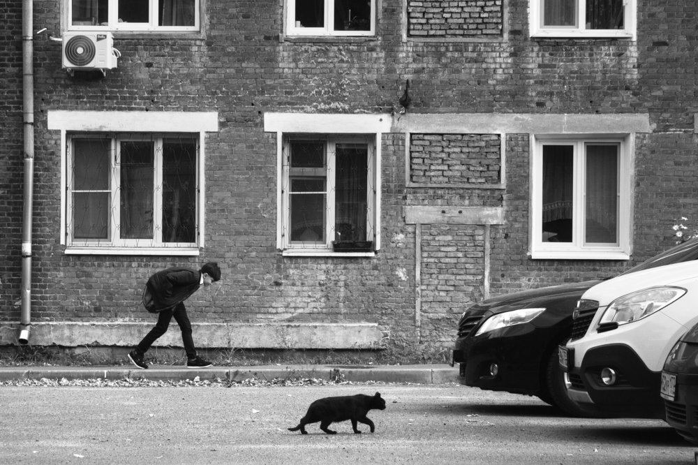 Противостояние