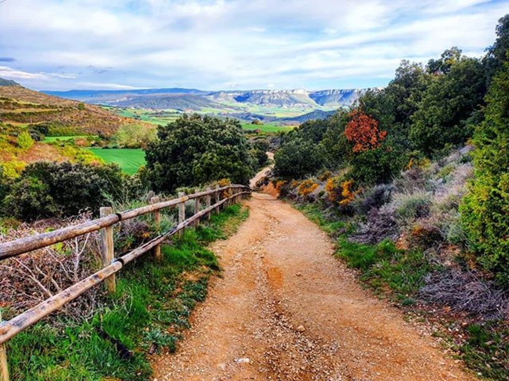 Camino de Santiago