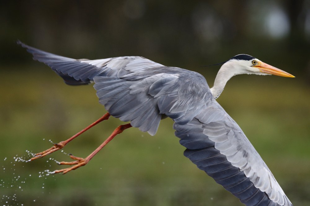 Photograph by Secher Kior Chousein