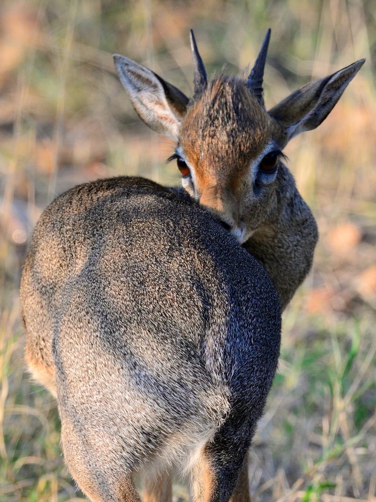 Photograph by Secher Kior Chousein