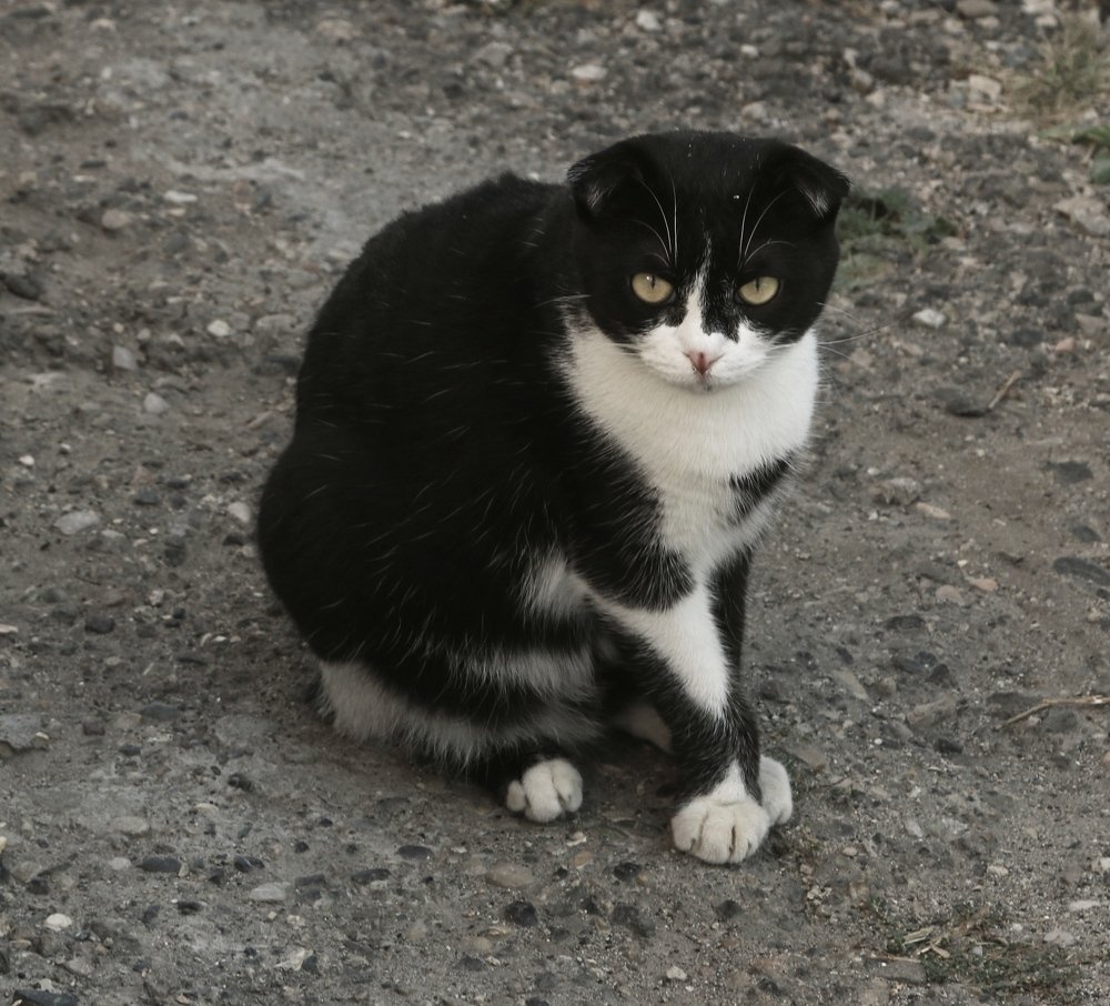 Photograph by Игорь Куленко