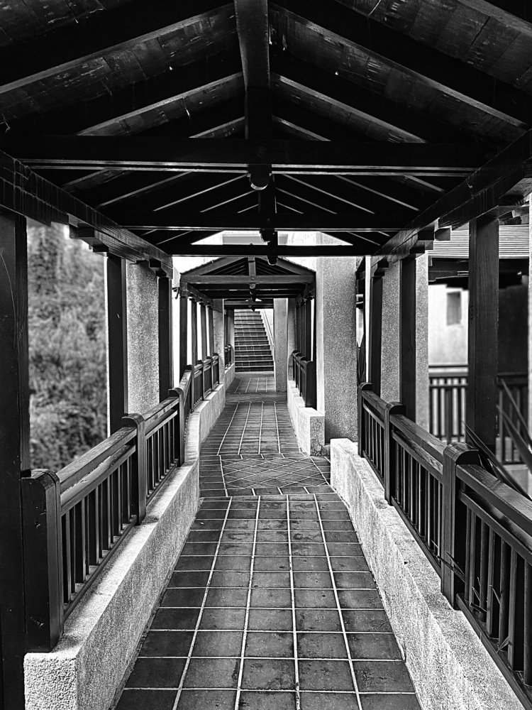 Photograph by Лилия Куюн