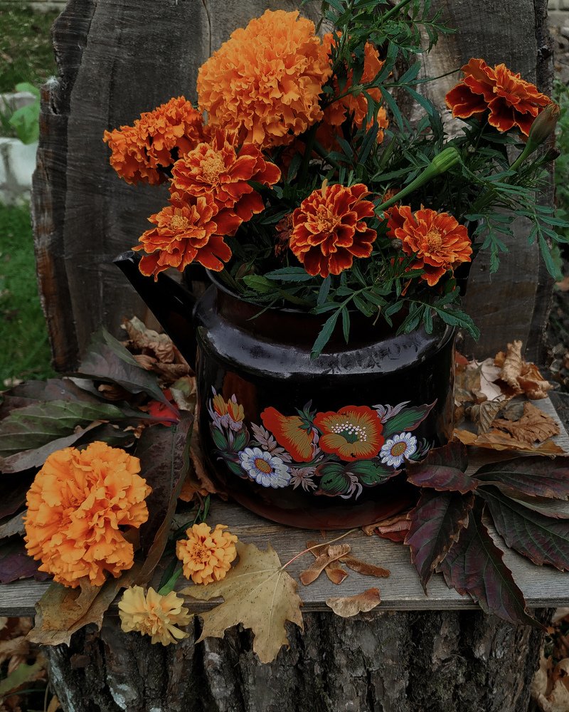 Photograph by Юлия Сусула