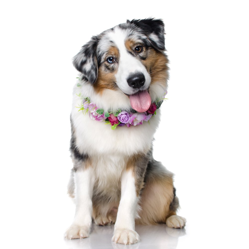 Photograph by Aleksandra Patenko