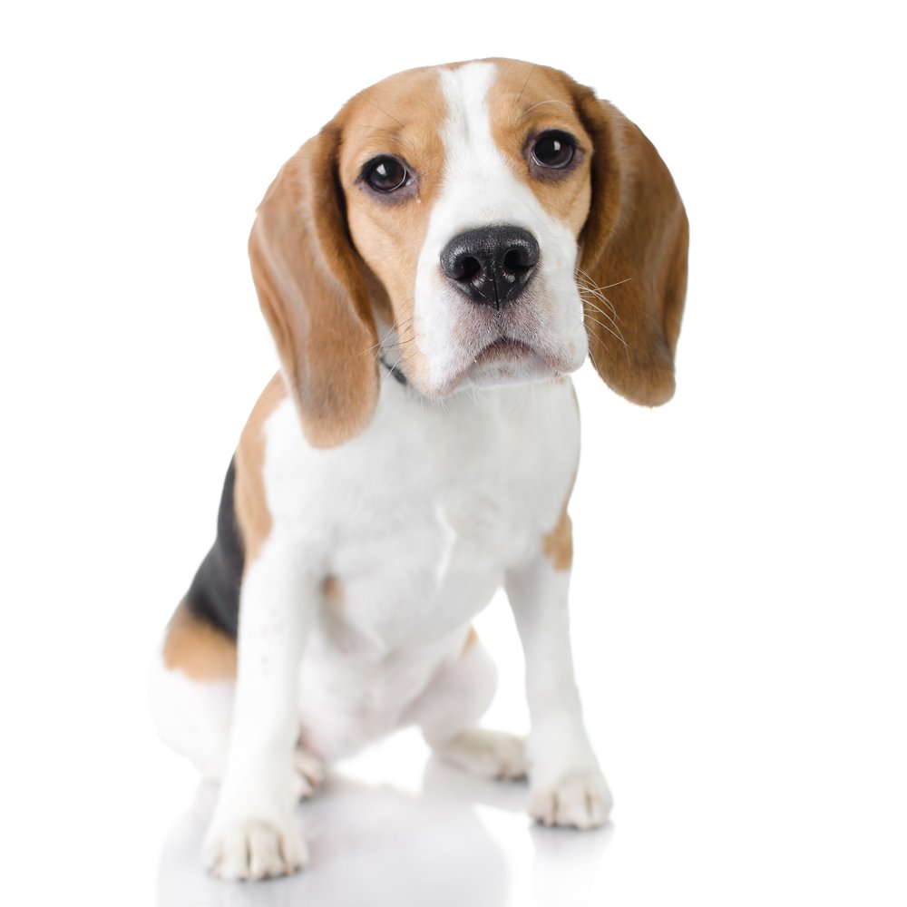 Photograph by Aleksandra Patenko