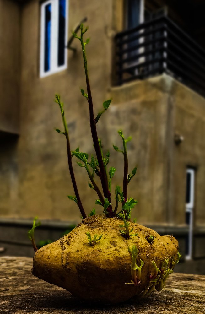 Photograph by Eunice Oladeji