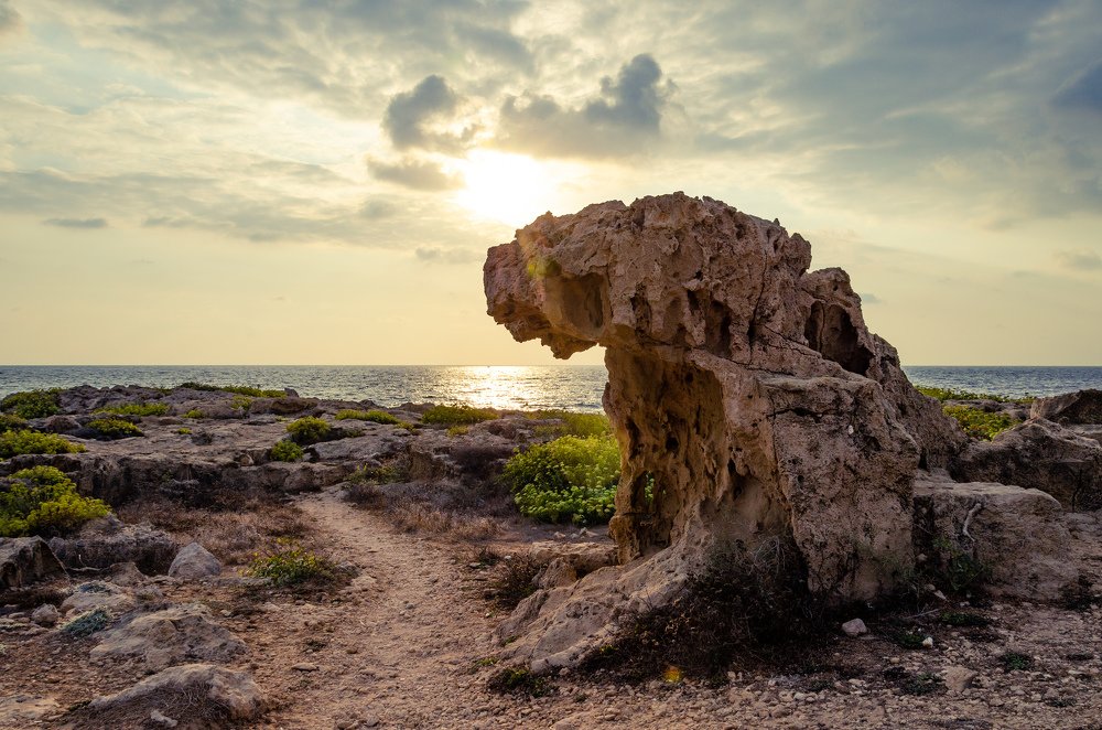 Photograph by Виктор Карпов