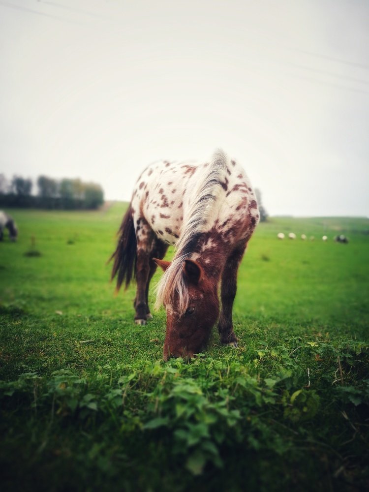 Photograph by Евгений Кравченко