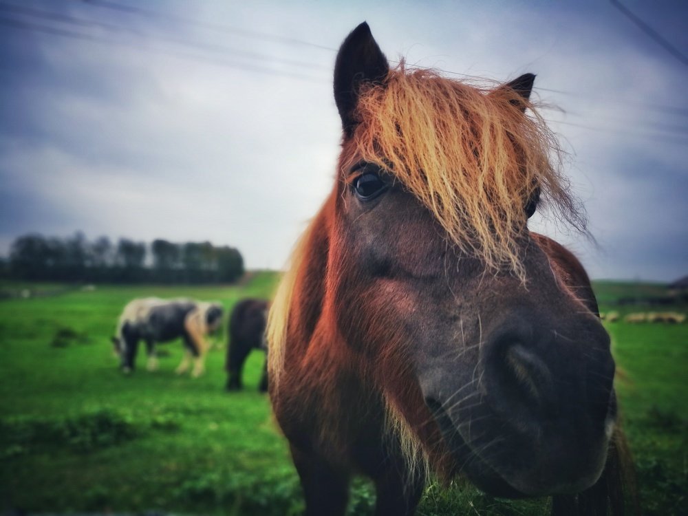 Photograph by Евгений Кравченко