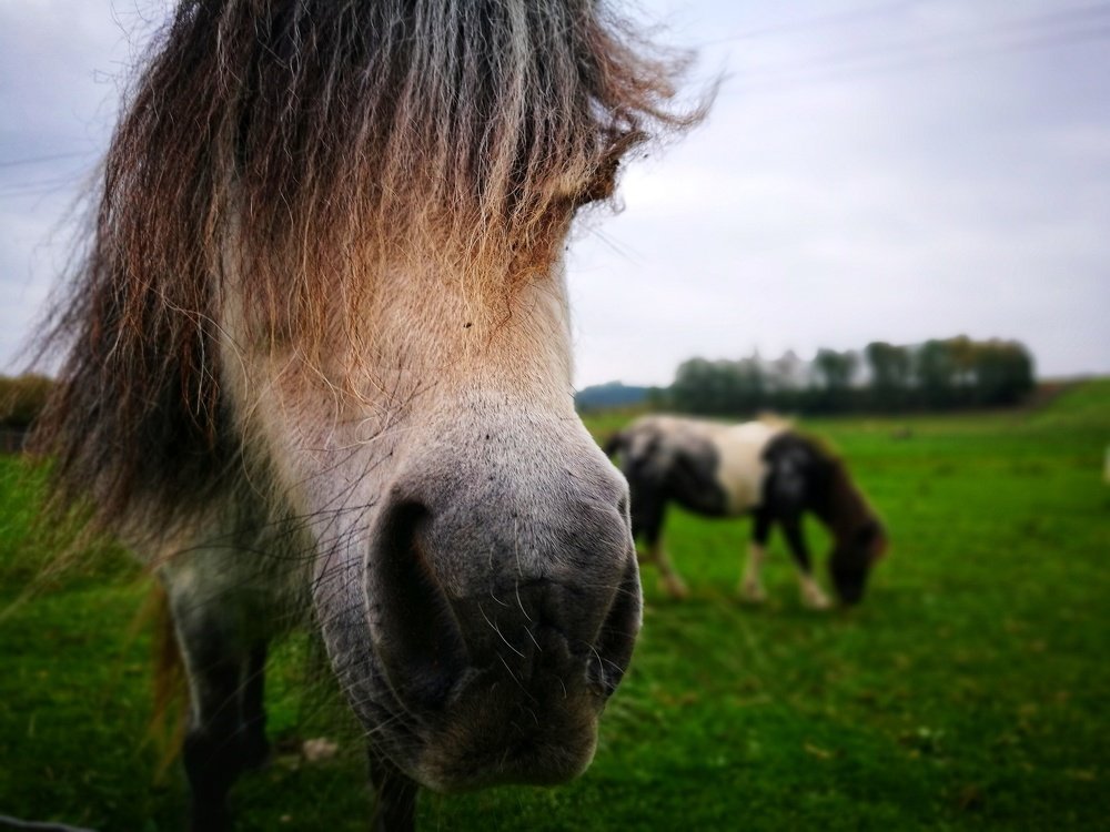Photograph by Евгений Кравченко