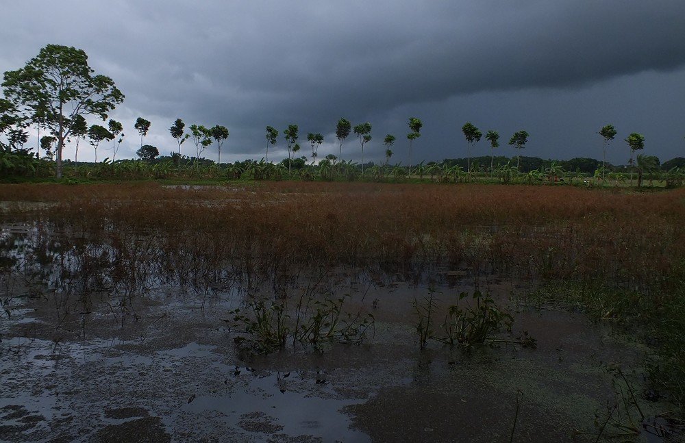 Photograph by Mahmud Alam Syed