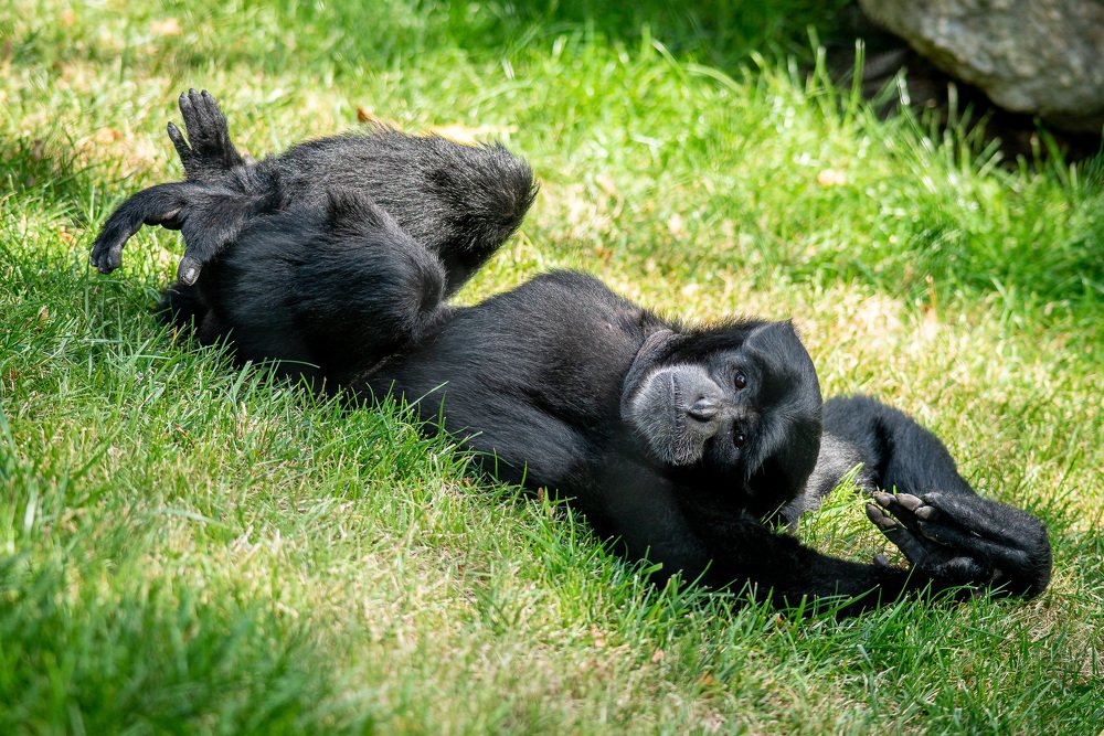 Photograph by Юрий Юрченко