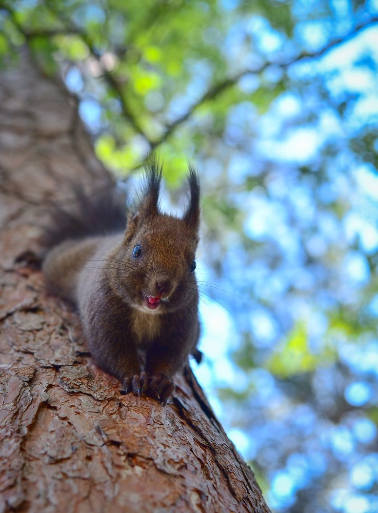 Photograph by Петър Кръстев