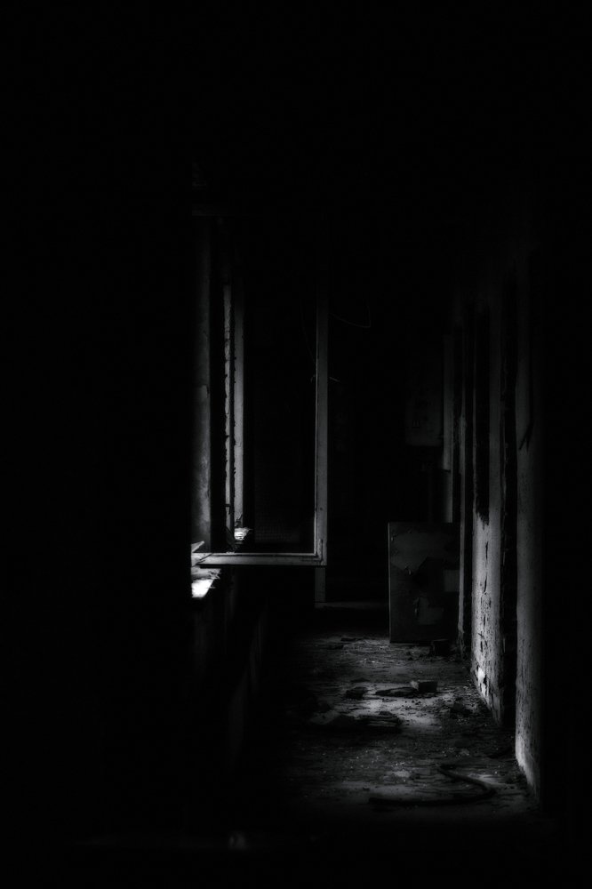 Photograph by Алексей Молчан