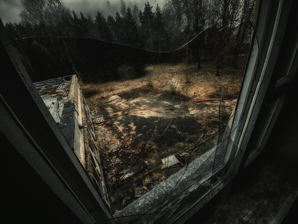 Photograph by Алексей Молчан