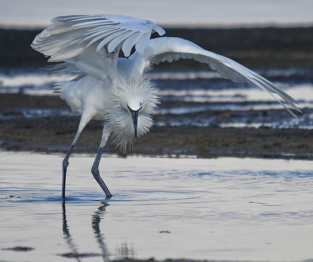 Fishing in the morning