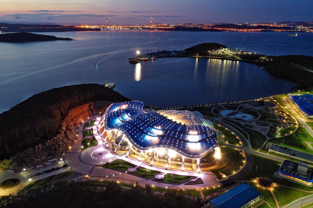 Ракушка / Shell