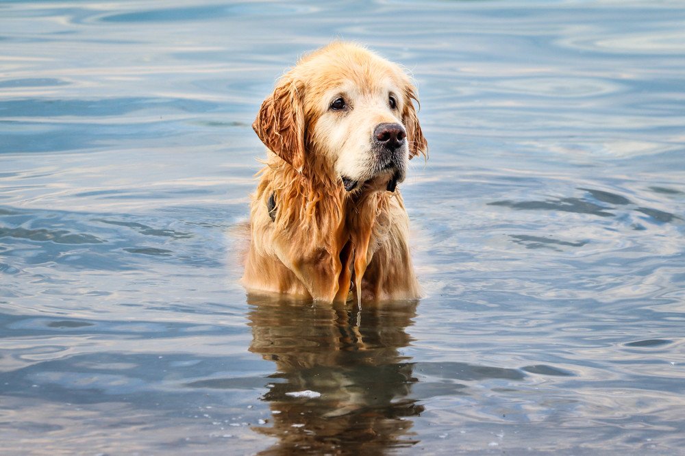 Photograph by Olga Vasina