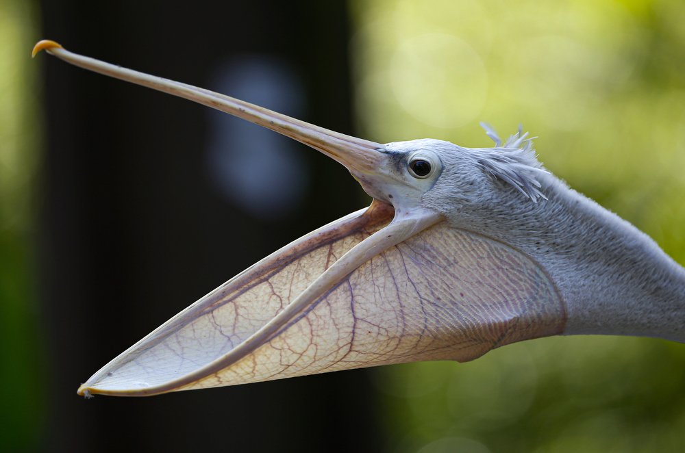 Photograph by FOK LOY WONG