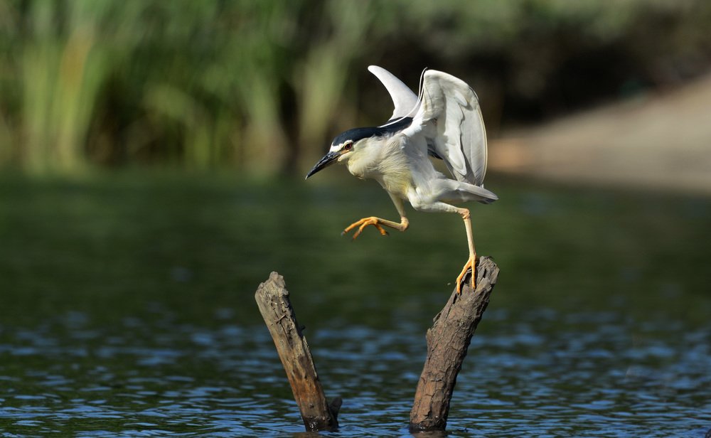 Полоса препятствий.
