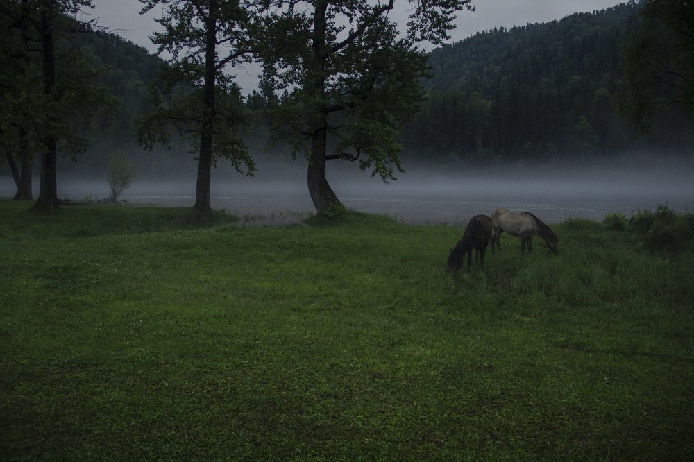 Photograph by Андрей Шрайнер