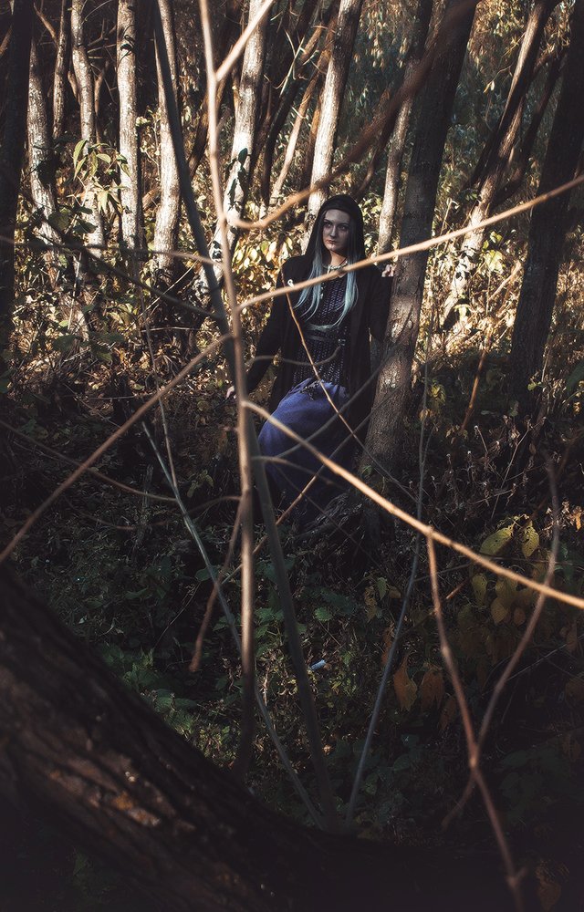 Photograph by Lady Integra