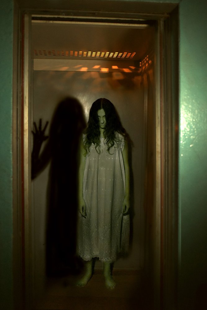 Фотография автора Светлана Лукьянова