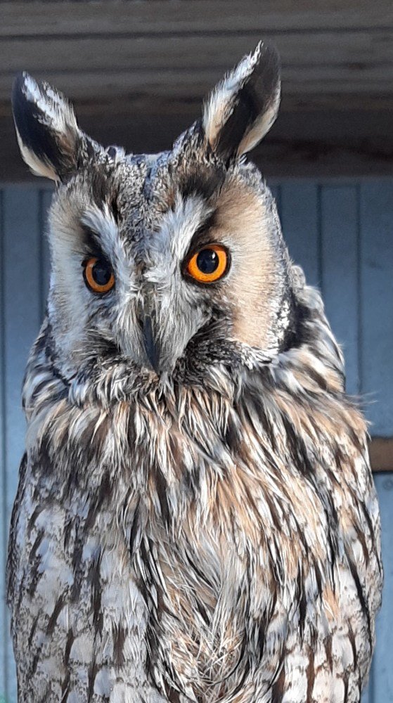 Photograph by Ольга Харламова