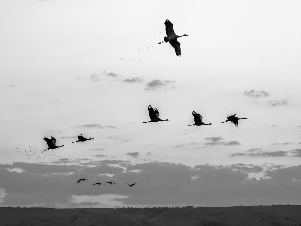 Photograph by Semion Ribinik