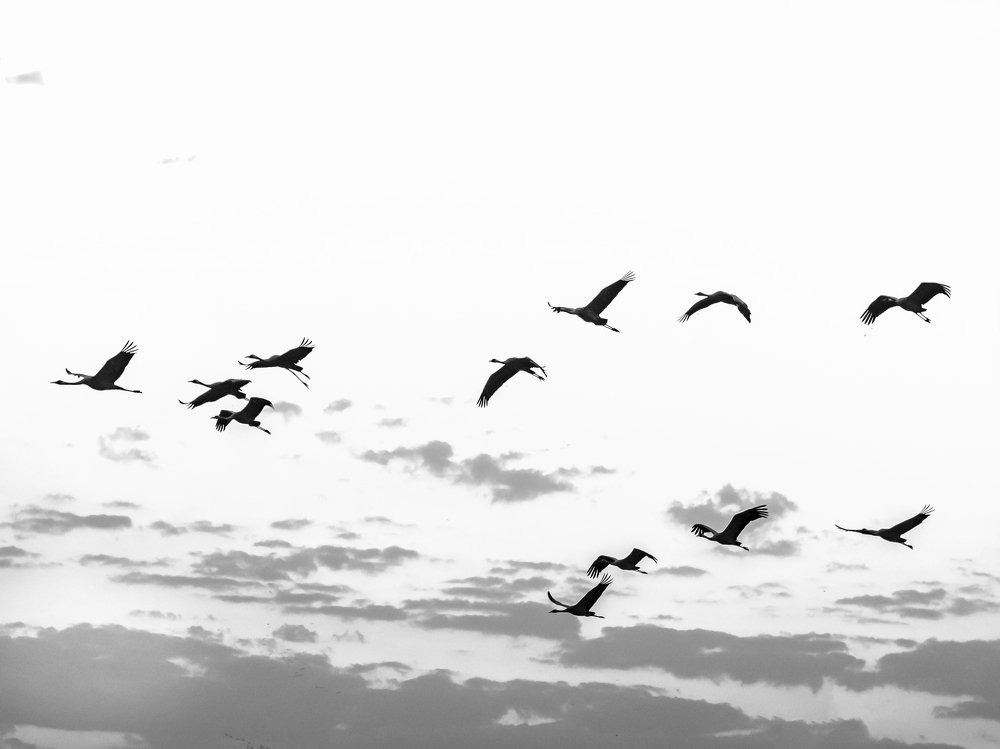 Photograph by Semion Ribinik